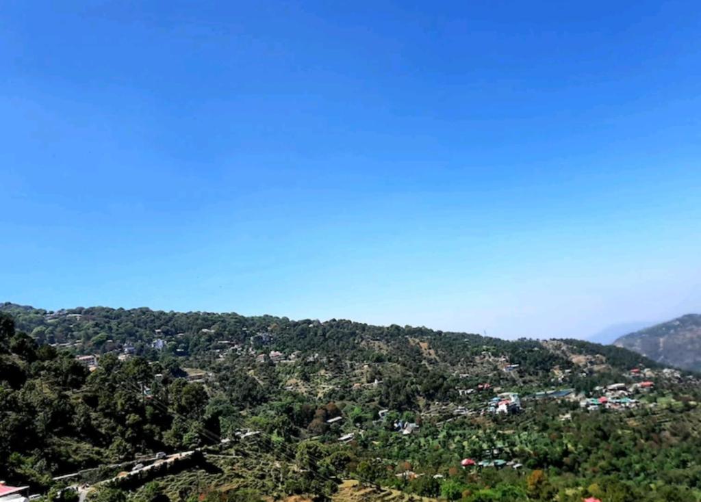 a view of a hill with houses and trees at Surya Regency premium in Kasauli