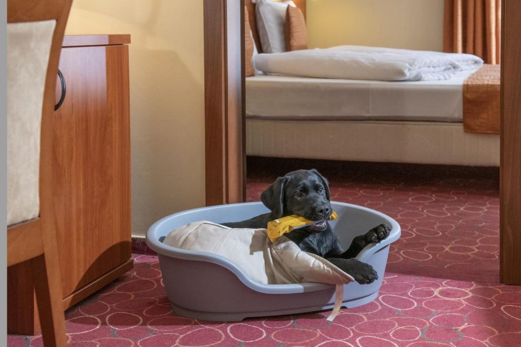 Posteľ alebo postele v izbe v ubytovaní Patak Park Hotel Visegrád