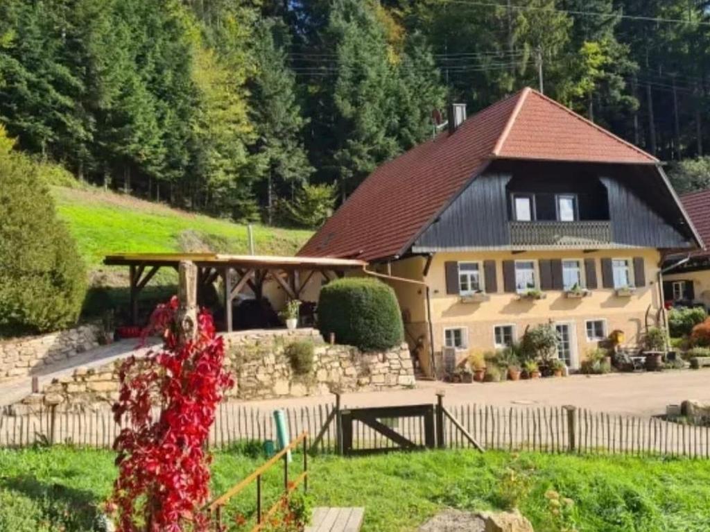 ein Haus mit Garten davor in der Unterkunft Rechenpeterhäusle in Fischerbach