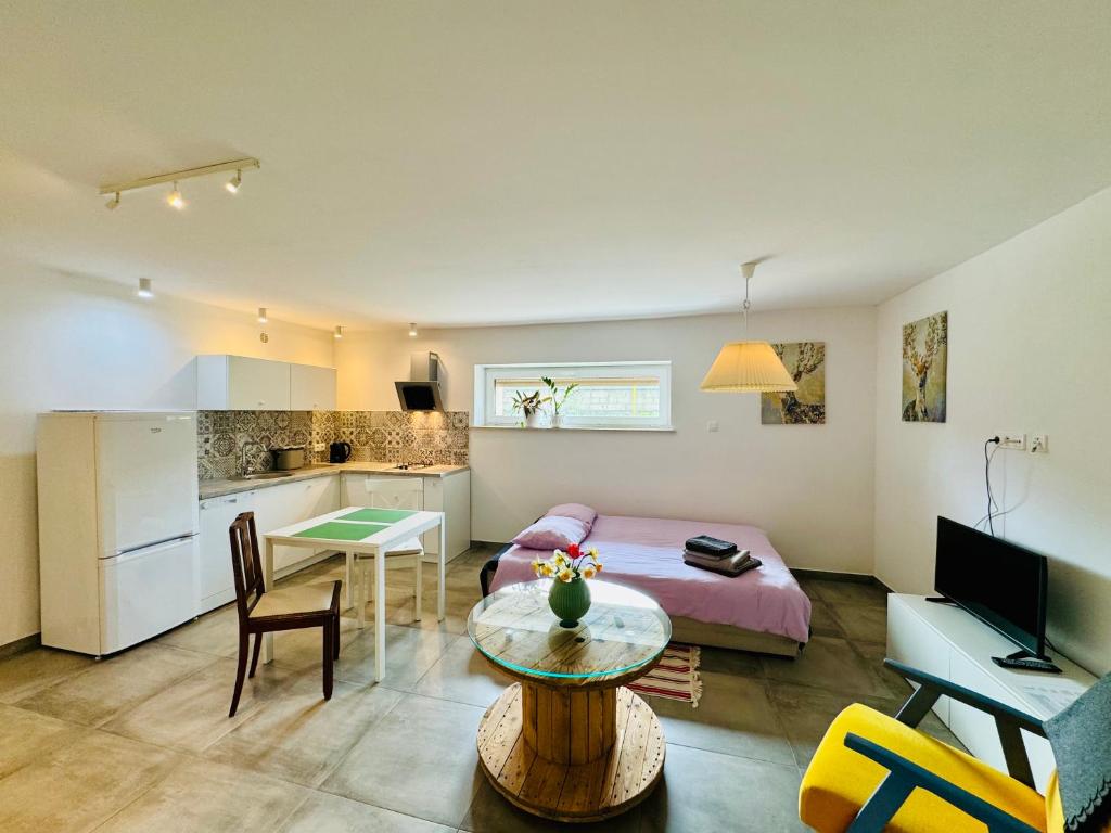 Televízia a/alebo spoločenská miestnosť v ubytovaní Design Apartments