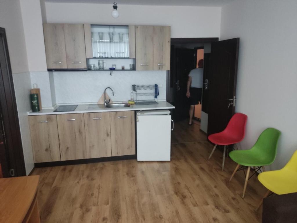A kitchen or kitchenette at apartment Radost