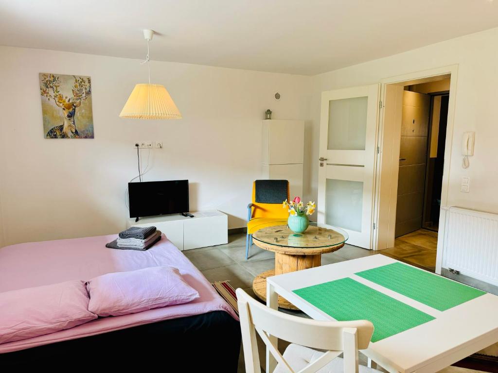 Televízia a/alebo spoločenská miestnosť v ubytovaní Design Apartments