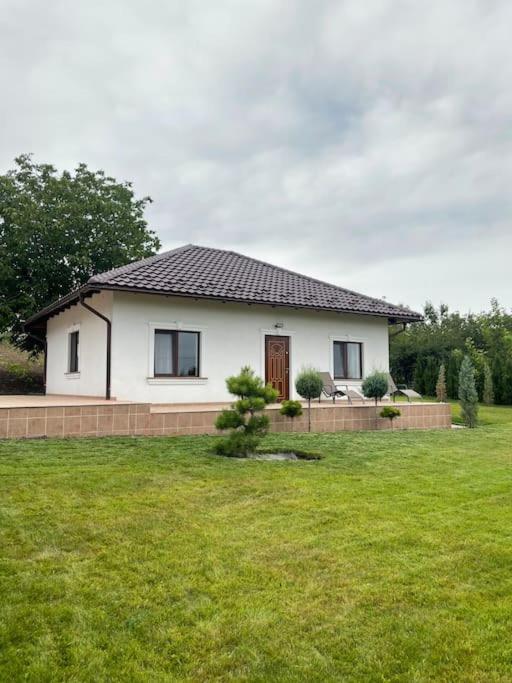 Cozy House Surrounded by Firs