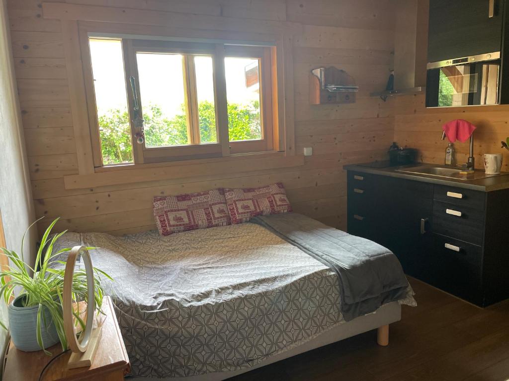 1 dormitorio con cama, lavabo y ventanas en Studio 1 pièce situé dans un chalet en Beaufort