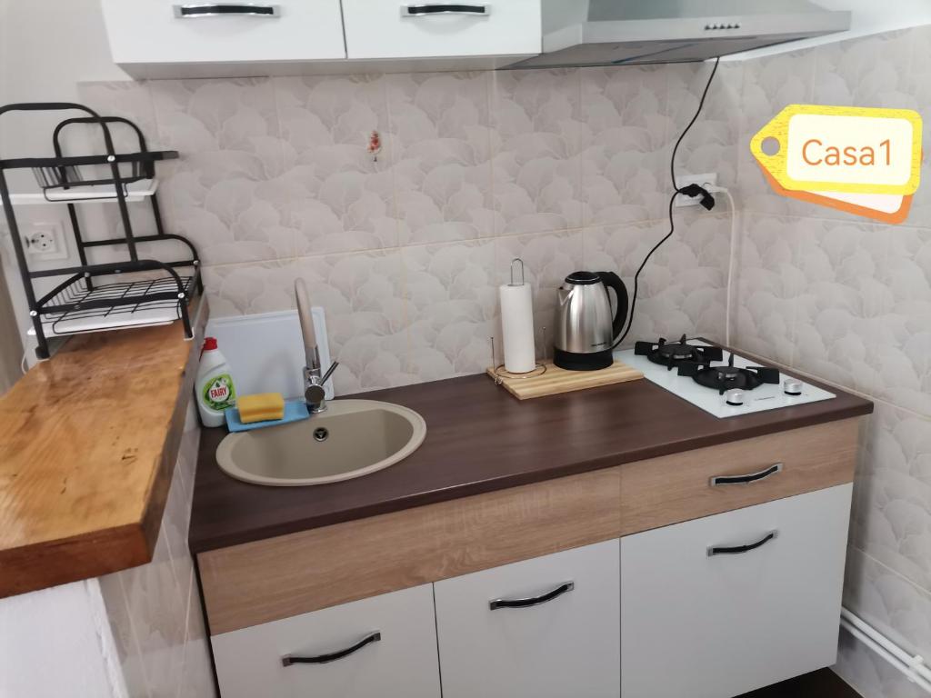 Kuchyň nebo kuchyňský kout v ubytování Casa Dașoveanu
