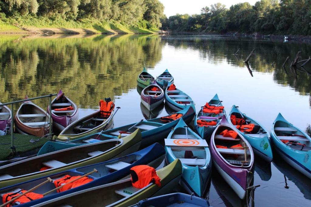 Výhled na řeku, která protéká v blízkosti bed and breakfast