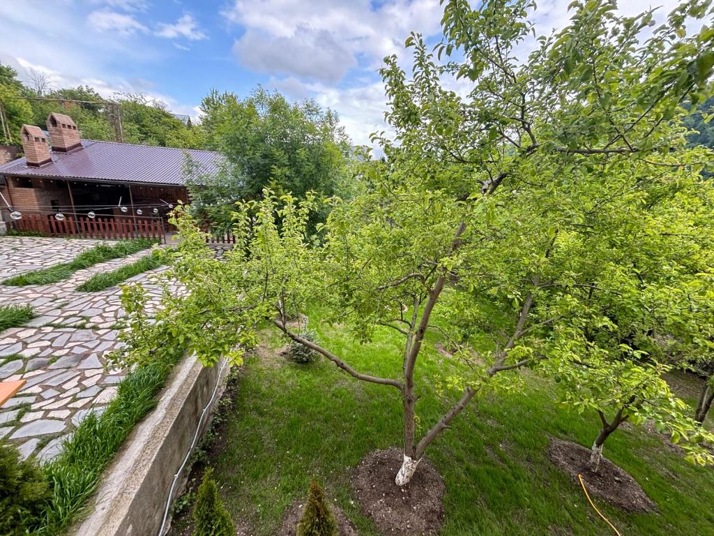 Zahrada ubytování RestArt Boutique Hotel