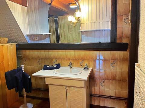 un bagno con lavandino e specchio di Appartement rustique, type chalet a Méhoncourt