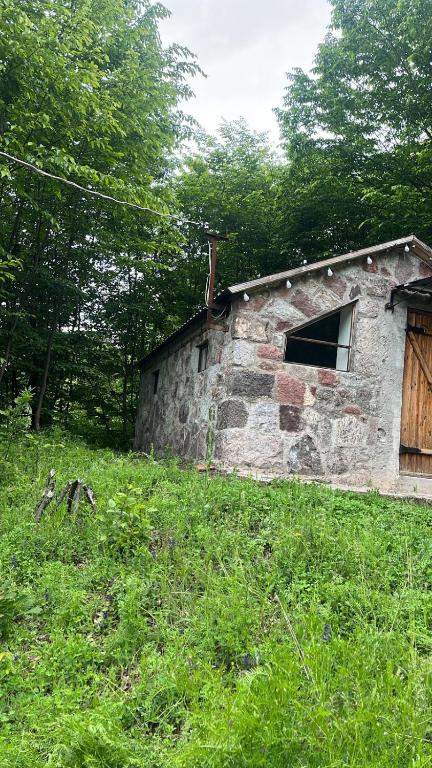 Fotografie z fotogalerie ubytování Lori O2 v destinaci Debed