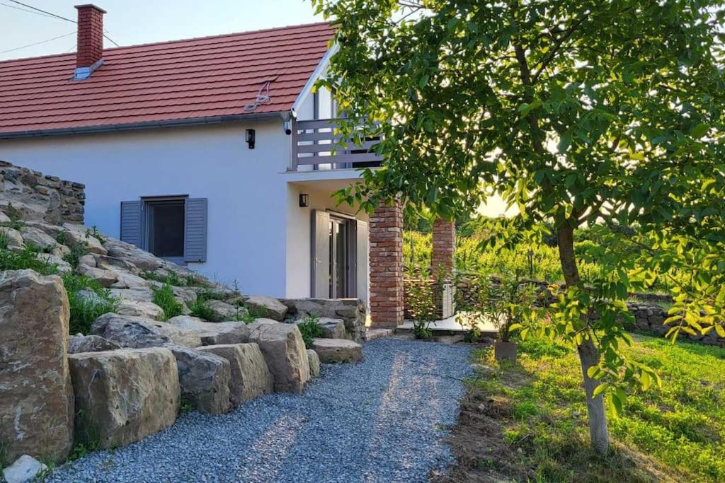Sol Antemuralis Vendégház 8308 Zalahaláp, Szőlőhegy kép - 1
