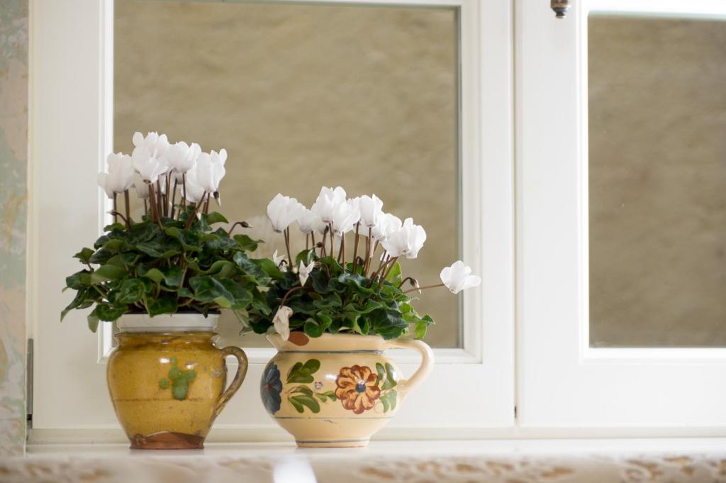 Vila Katharina - Resim 18