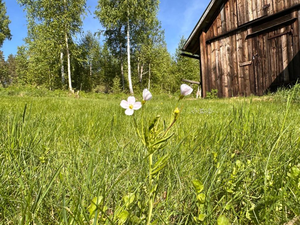 Zahrada ubytování Jacobsdalstugan