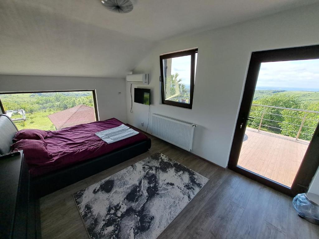 SeciuにあるCasa 3 Catei Veseliの小さなベッドルーム(ベッド1台、大きな窓付)