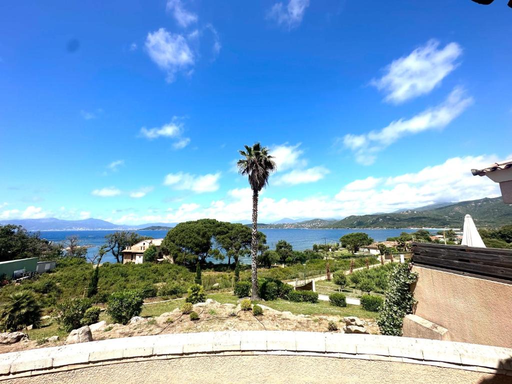 a view of a palm tree and the water at Résidence Aigue Marine in Coti-Chiavari