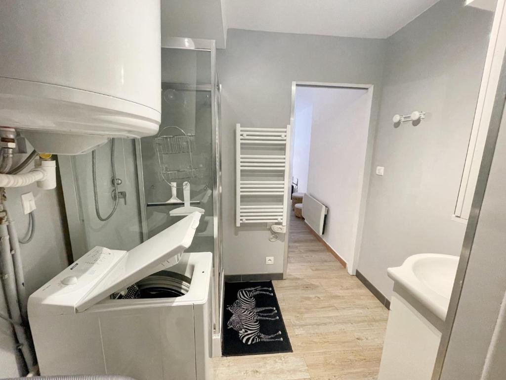 ein Badezimmer mit einem Waschbecken und einer Waschmaschine in der Unterkunft Appartement d'une chambre avec terrasse amenagee a Prats de Mollo la Preste in Prats-de-Mollo-la-Preste