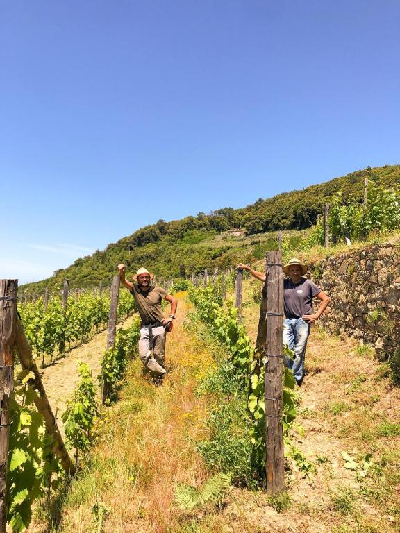 Hosté ubytování Cuccaro Club - Val di Vara e Cinque Terre