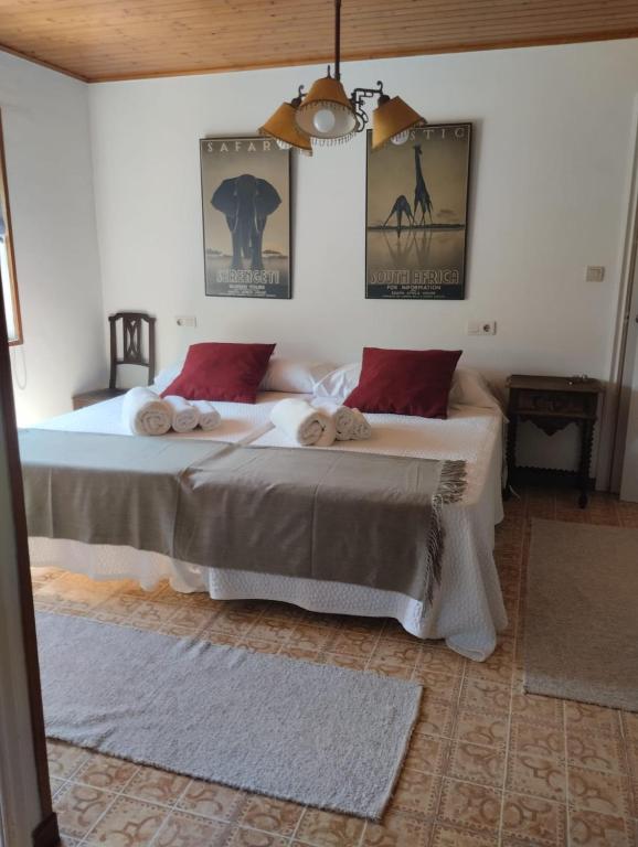 Aloxamento A Mariña - 16