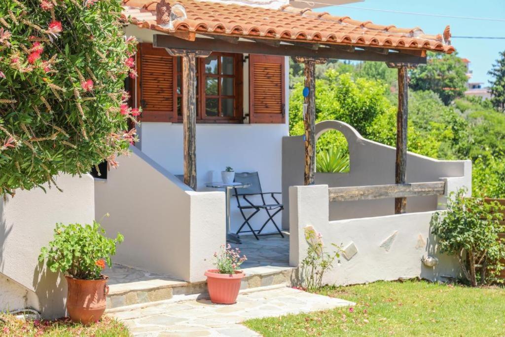 Zahrada ubytování Villa Amy