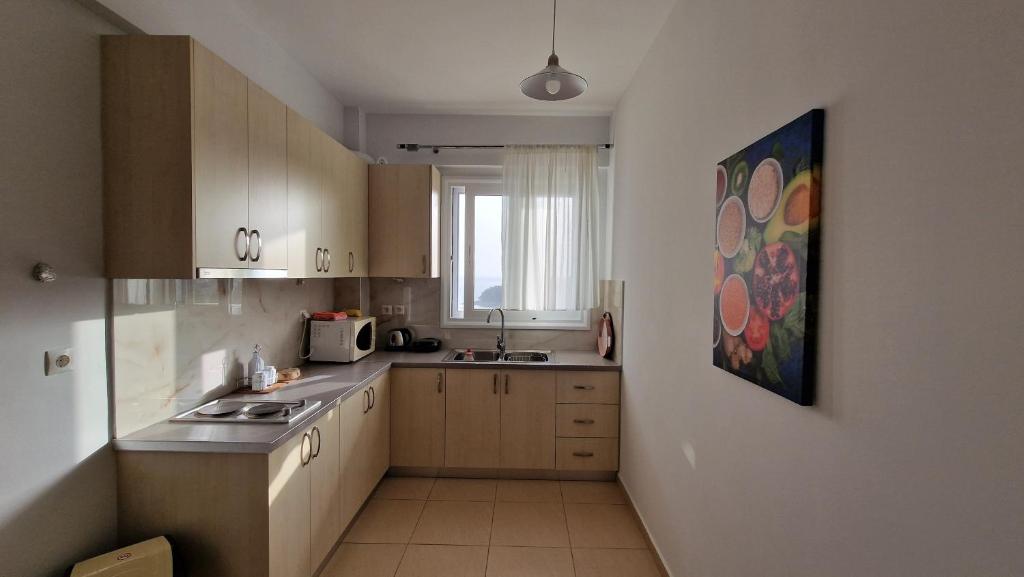 Kuhinja ili čajna kuhinja u objektu Horizon view rooms