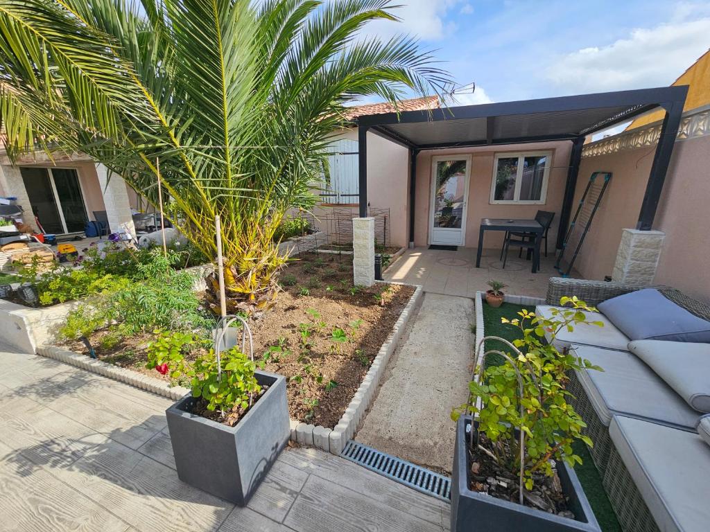un pequeño jardín con una palmera en una casa en Ni 100%Gite,Ni100% loc chez Kheira&Pascal en Vitrolles