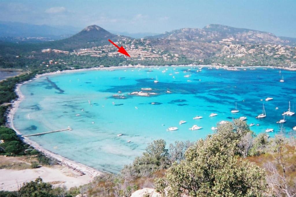 un oiseau rouge volant au-dessus d'une plage avec des bateaux dans l'établissement Résidence Les Hameaux de Sta Giulia - N1 - Vue mer - Piscine chauffée - Plage 200 m, à Porto-Vecchio