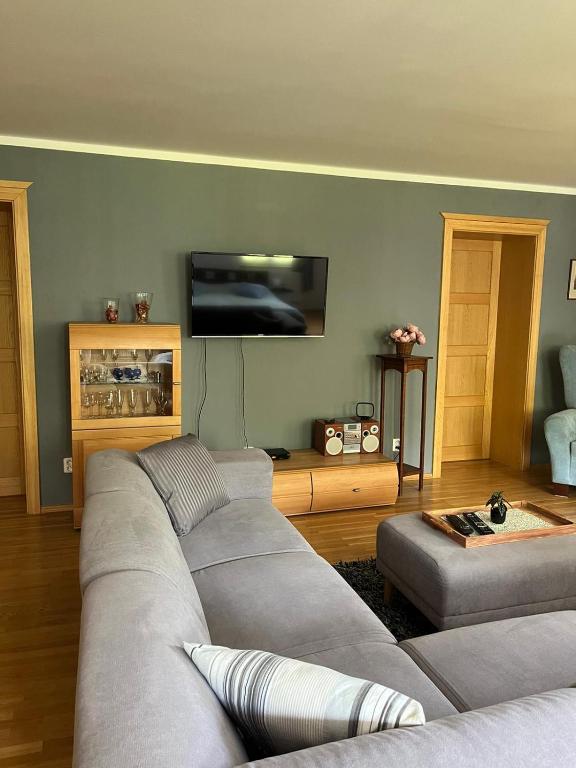 TV a/nebo společenská místnost v ubytování Apartmán Pod Klášterem