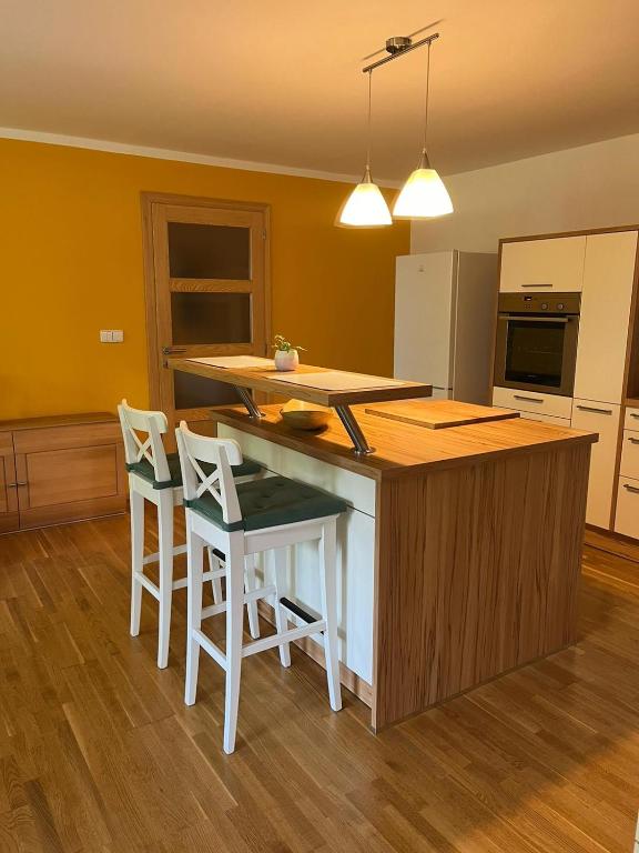Kuchyň nebo kuchyňský kout v ubytování Apartmán Pod Klášterem