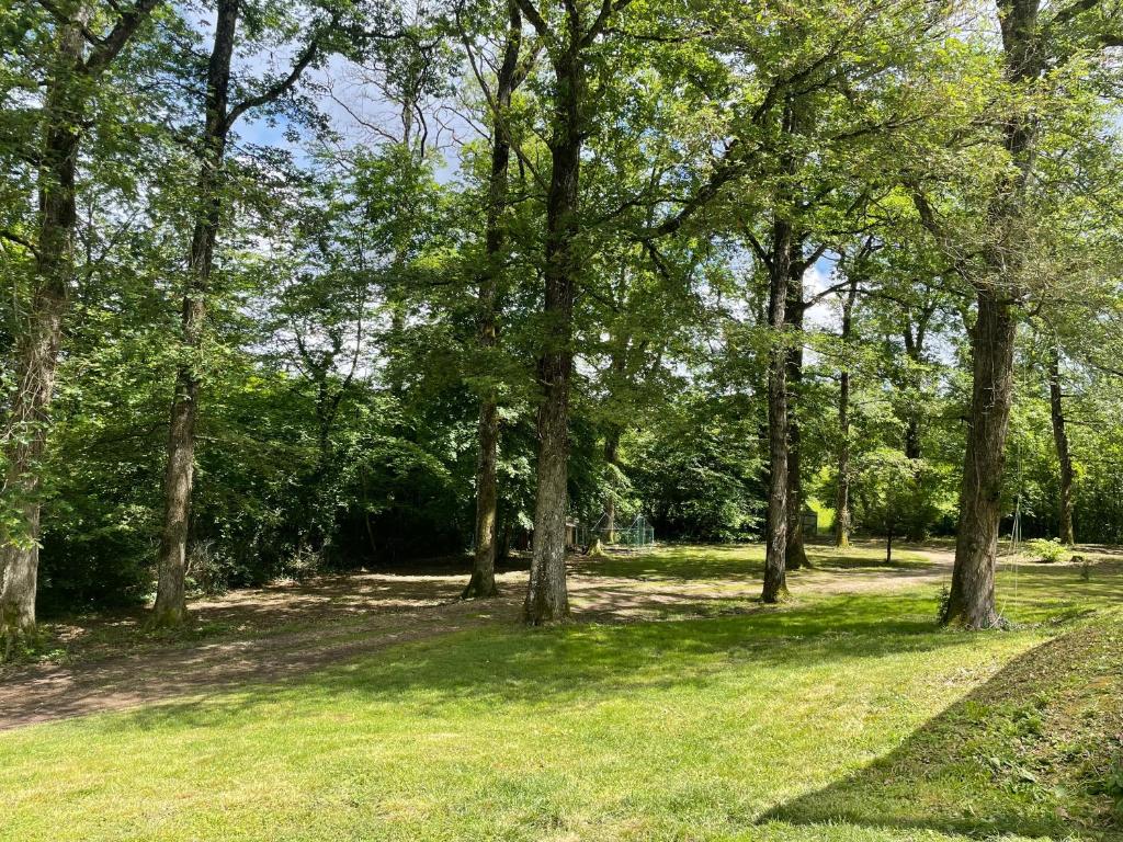 a group of trees in a park with grass at Au cœur des Bois in Amboise