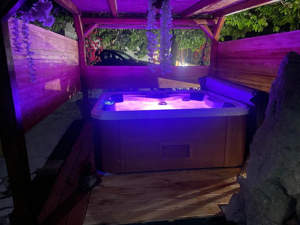 a jacuzzi tub with purple lighting in a backyard at Villa Romina in Selva di Fasano