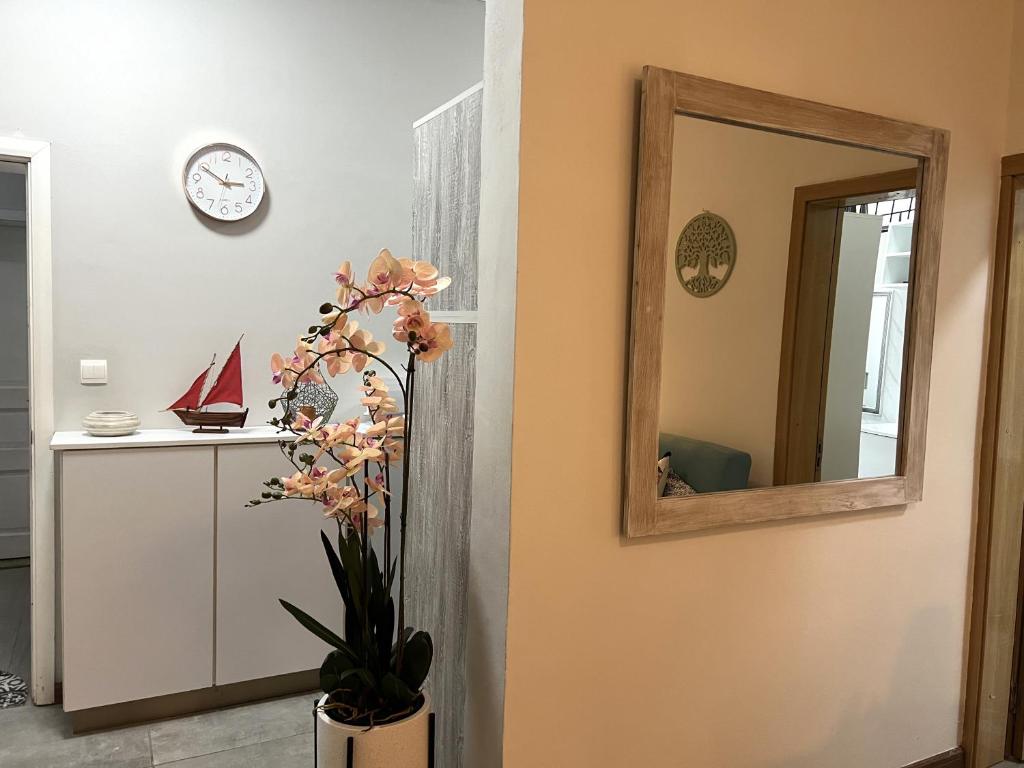 Fotografie z fotogalerie ubytování Newly Renovated Studio Apartment with Rooftop Pool, Few Steps to the Beach v destinaci Flic-en-Flac