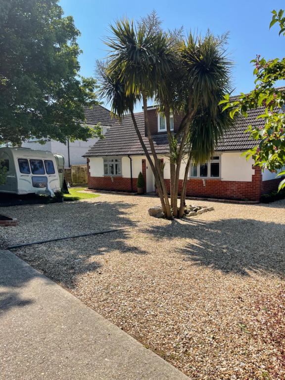 a house with a palm tree in the driveway at Godden Green B & B Guesthouse in Newchurch