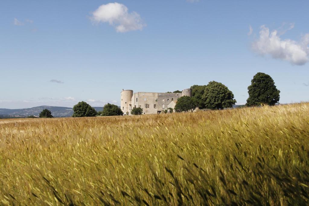 a castle on a hill with a field of grass at Château de la Gabelle Férrassières in Ferrassières
