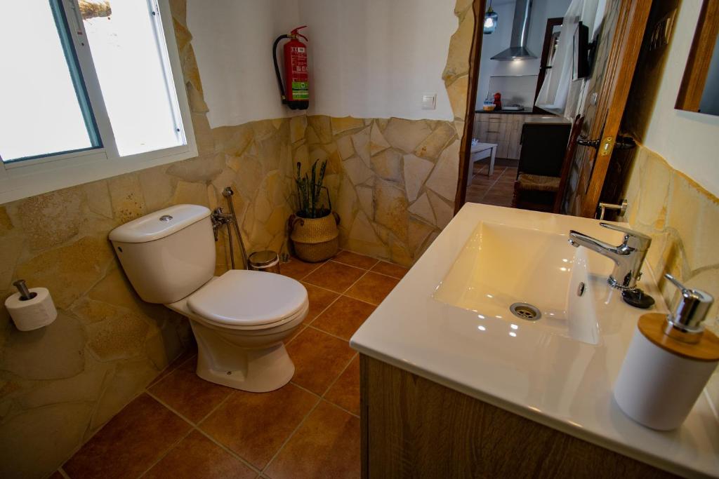 La Jaboneria de Setenil - 18