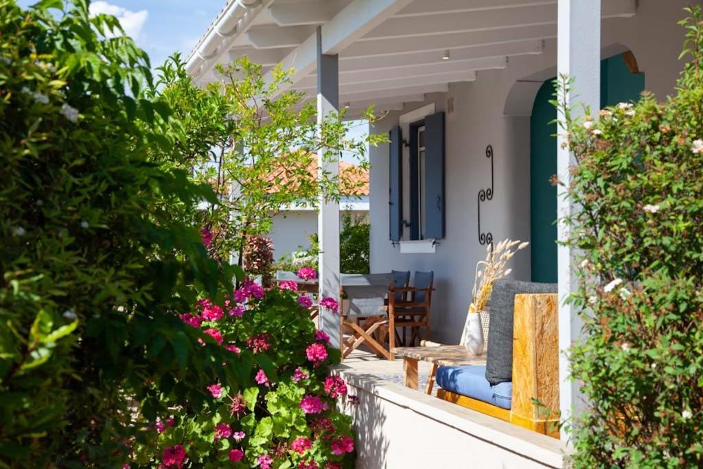 une terrasse couverte avec des fleurs roses et des chaises bleues sur une maison dans l'établissement Villa Primarosa, à Metaxáta