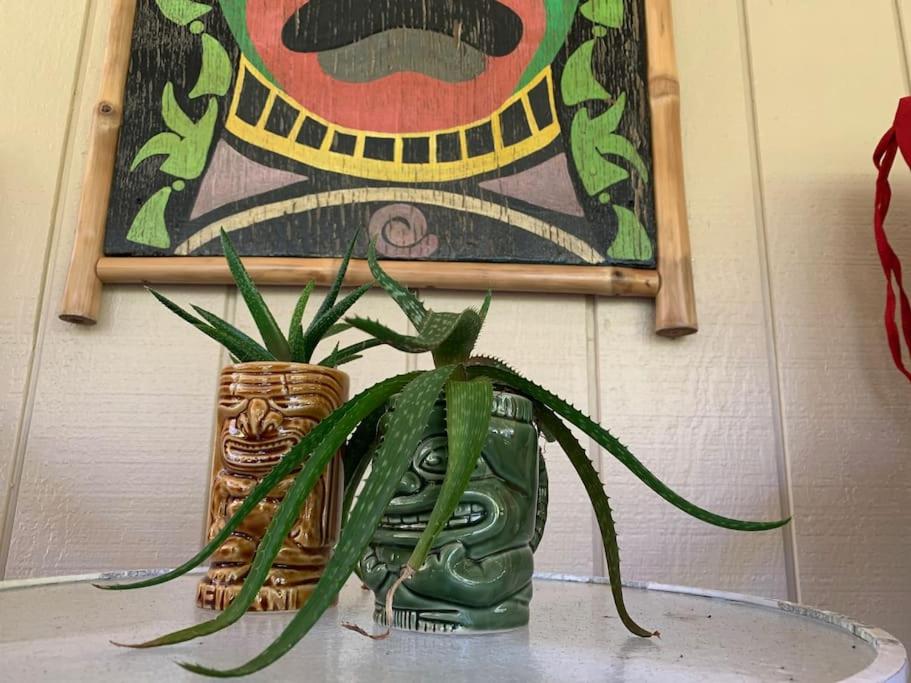 Fotografie z fotogalerie ubytování Hau'oli Place Tiki Cottage in Volcano v destinaci Volcano
