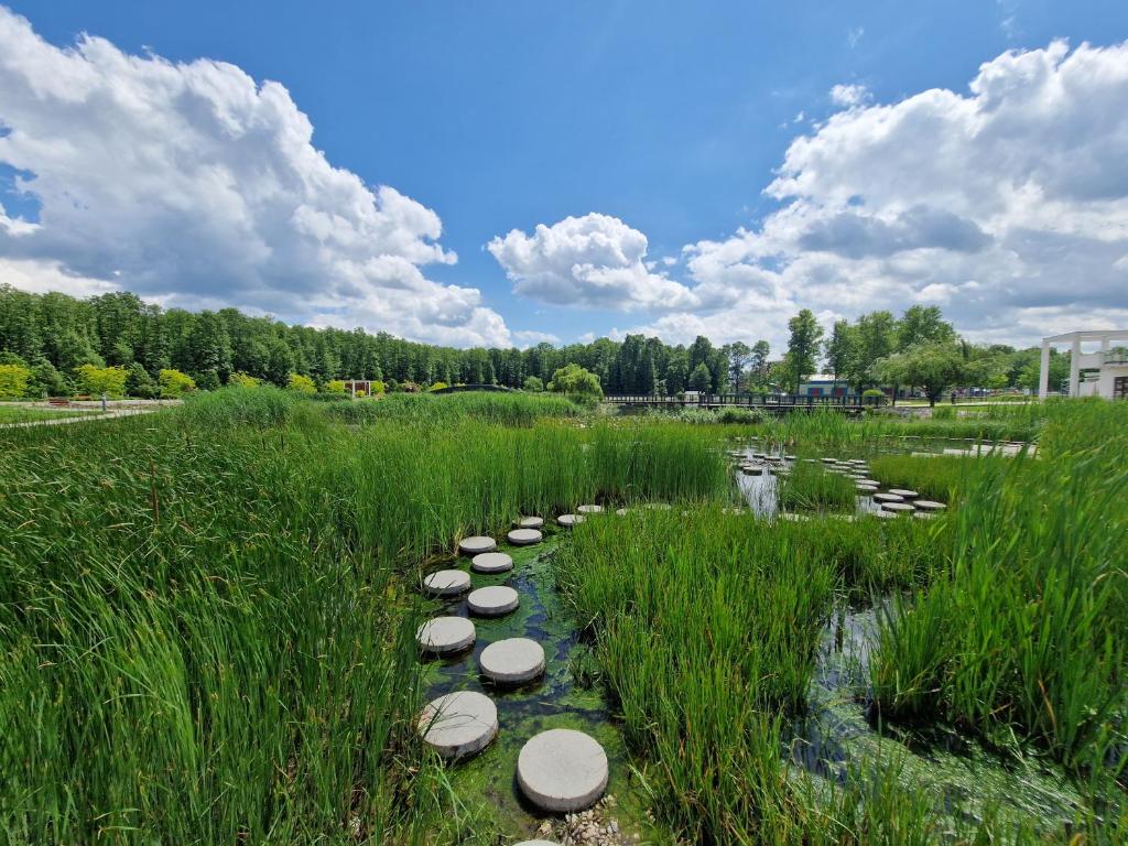 ścieżka na polu ze skałami w trawie w obiekcie Manna Wellness Apartman Zalakaros w Zalakaros