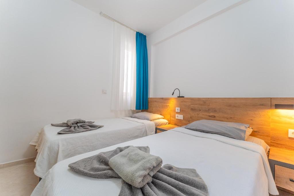 Pazar Apartments - Wohnung - Erdgeschoss