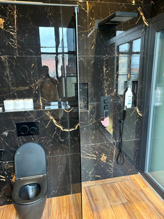 Koupelna v ubytování Wenceslas square apartment 150 m2