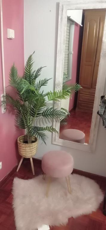 a bathroom with a mirror and a plant and a stool at As Mariñas 92 in Boiro