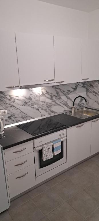 Kuchyňa alebo kuchynka v ubytovaní Blanka Apartment