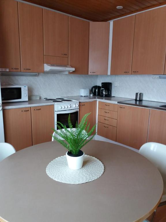a kitchen with a table with a plant on it at Tuulanmajoitus in Mänttä