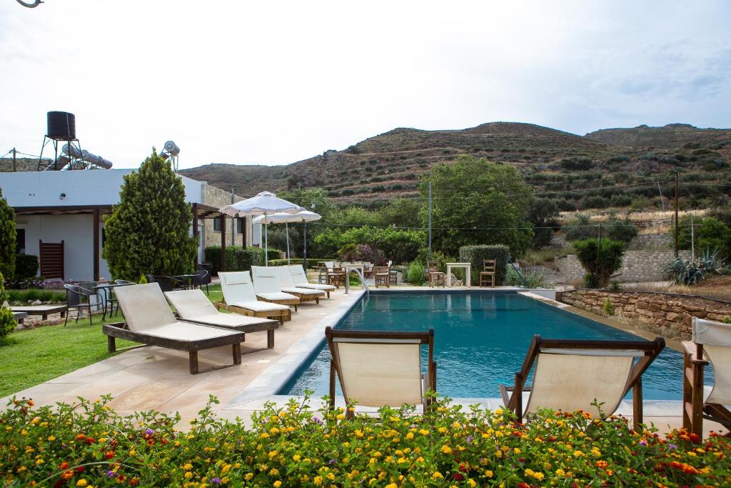 una piscina con tumbonas y un montón de plantas en Agarathos Traditional Rooms with Pool en Kissamos