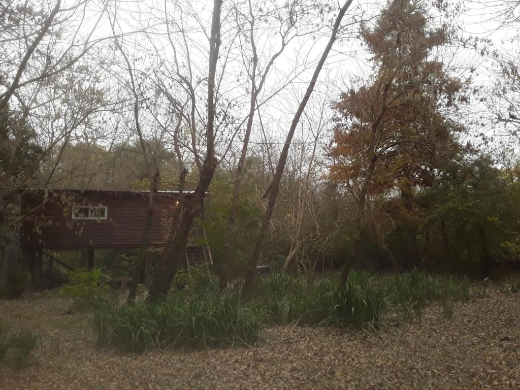 eine Hütte mitten im Wald in der Unterkunft Cabaña Los Cipreses in Tigre