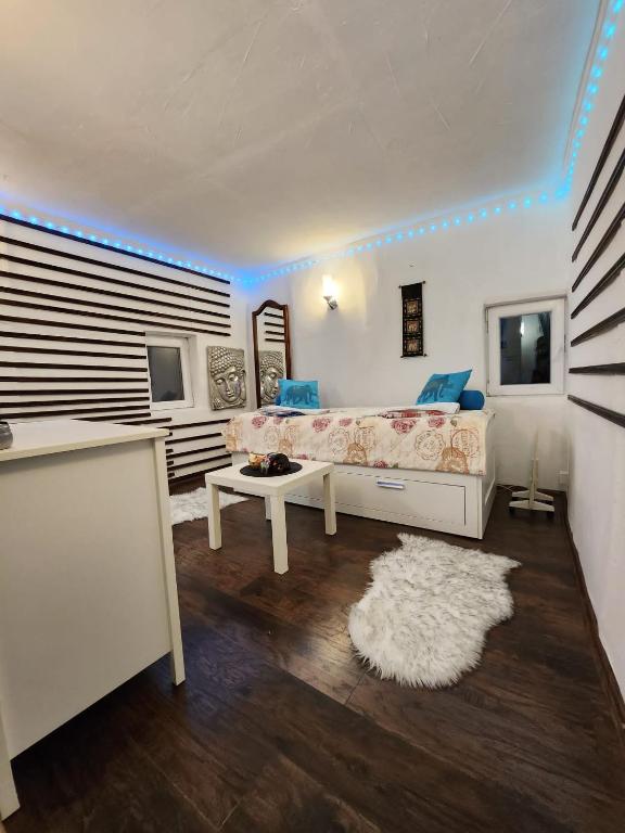 TV a/nebo společenská místnost v ubytování Spa center Apartment Belgrad