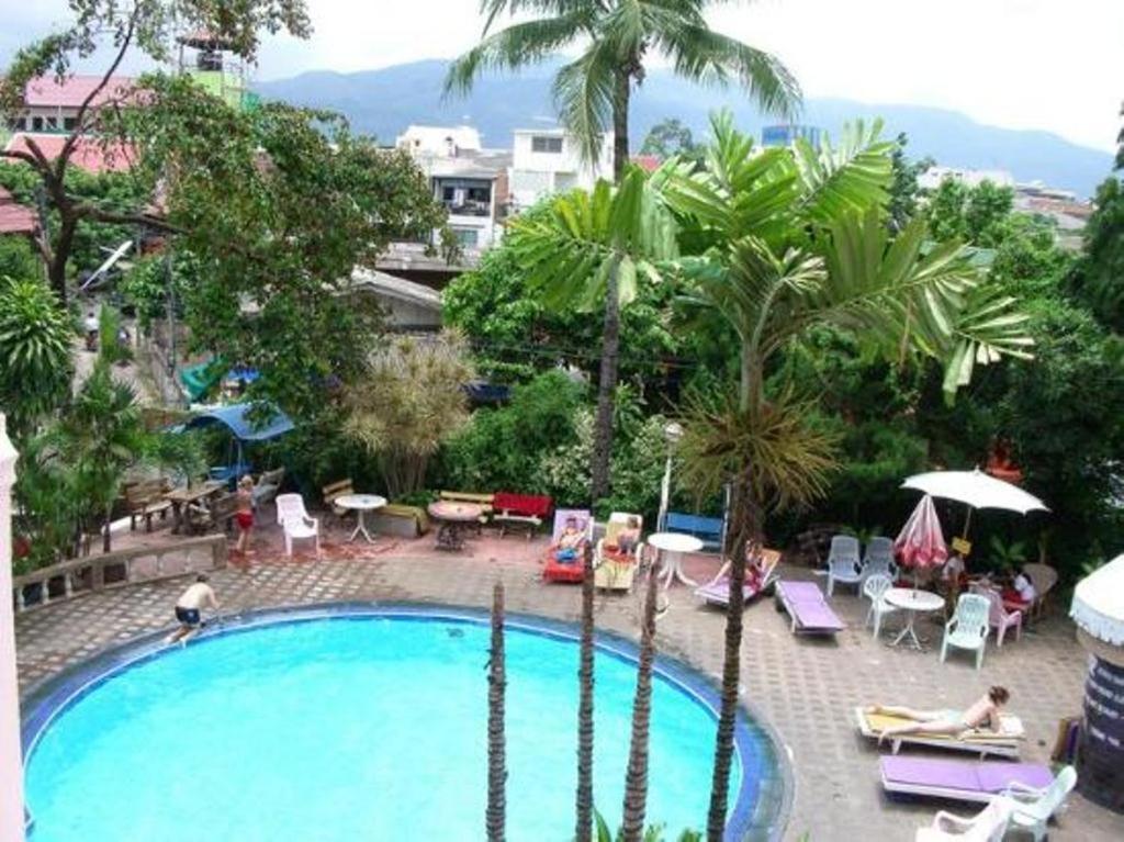a swimming pool with palm trees and people sitting around it at Top North Guest House in Chiang Mai
