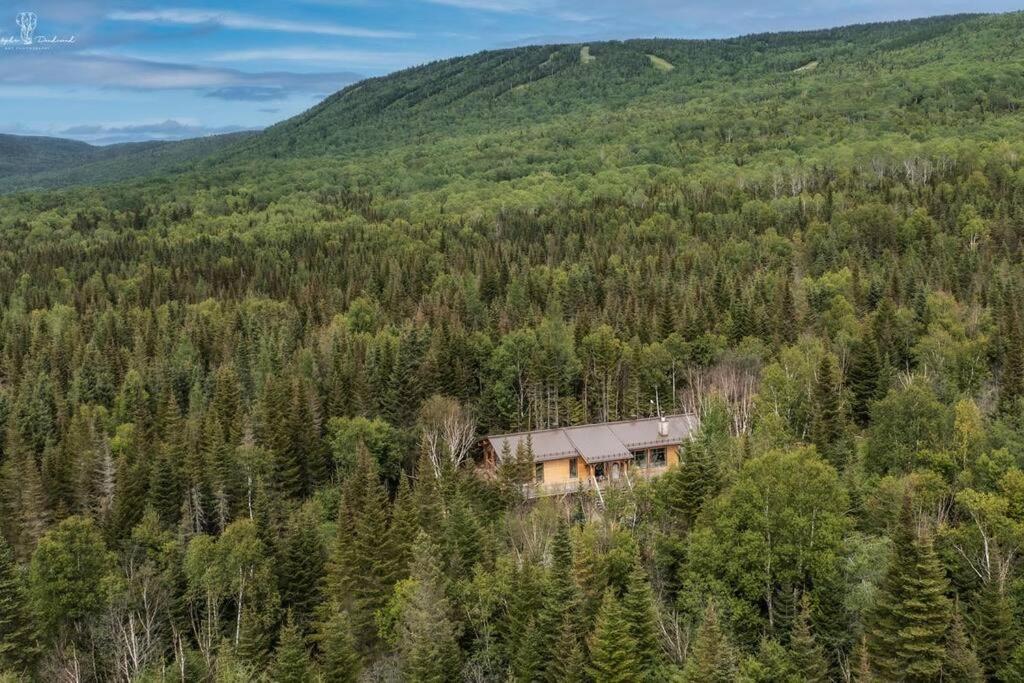 an aerial view of a house in the middle of a forest at Chalet Makabane -Spa- foyer - billard - Slow life in La Malbaie