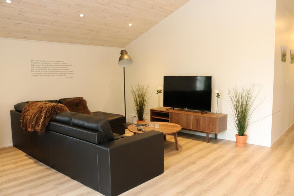 TV a/nebo společenská místnost v ubytování Miðhraun - Lava resort