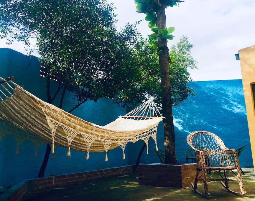 Foto de la galería de Oasis Isabel1 en Asunción