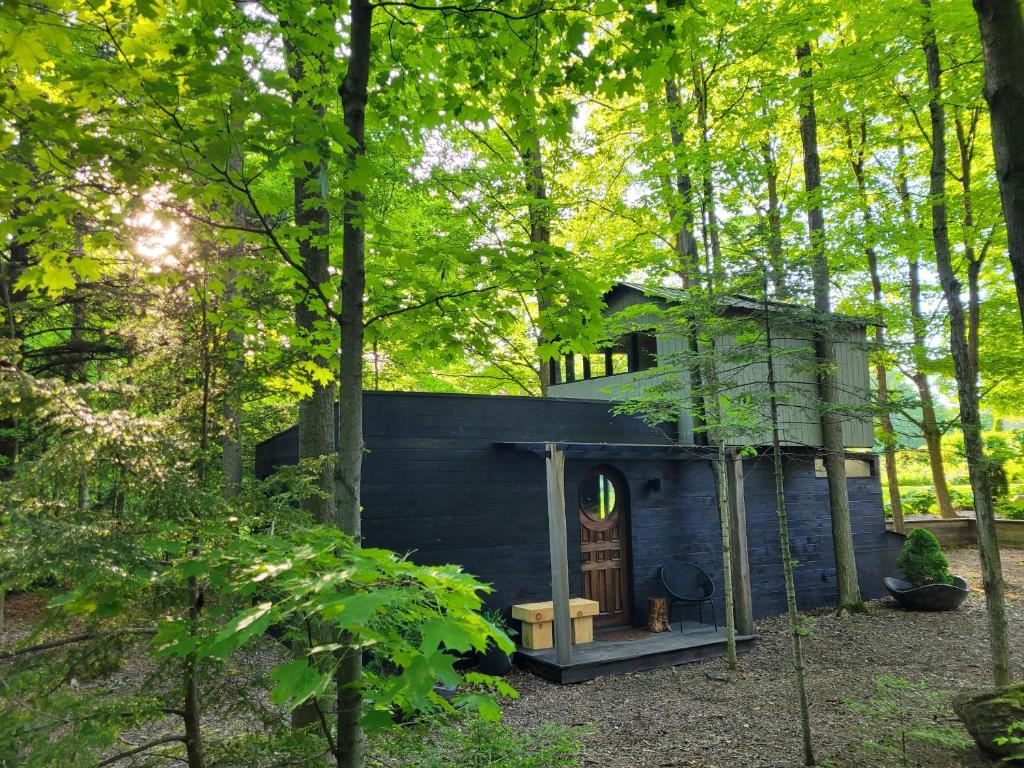a blue house in the middle of a forest at Black Pine Tree House in Acton
