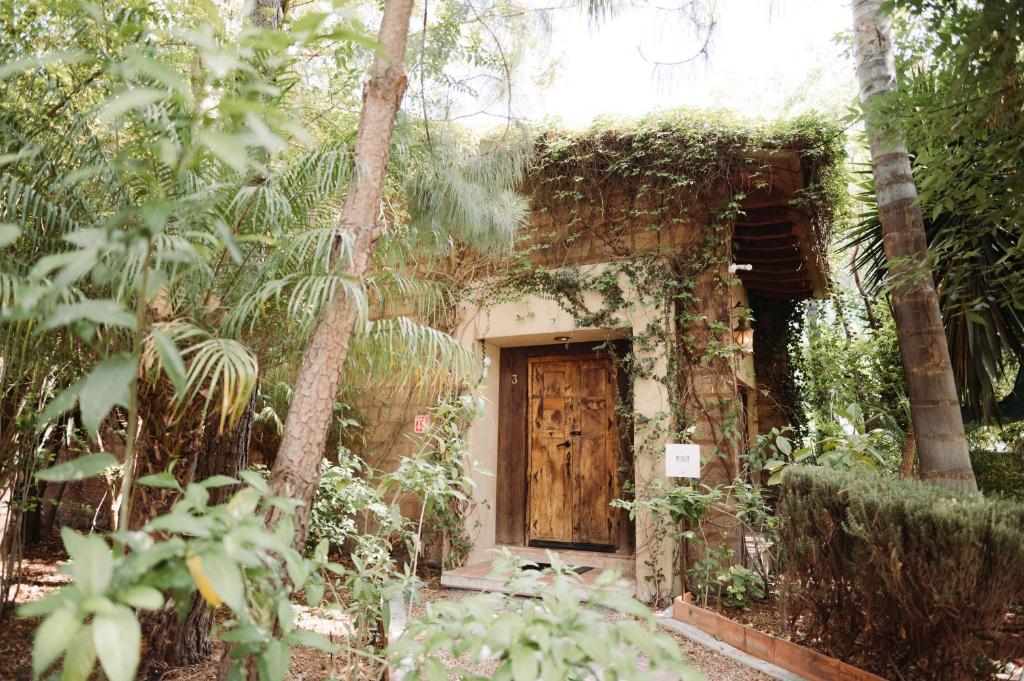 María & Bernardo Casa - Viñedo - Suite With Garden View